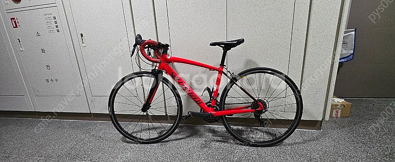 스페셜라이즈드 알레 주니어--0