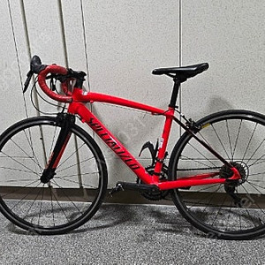 스페셜라이즈드 알레 주니어