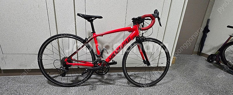 스페셜라이즈드 알레 주니어--1