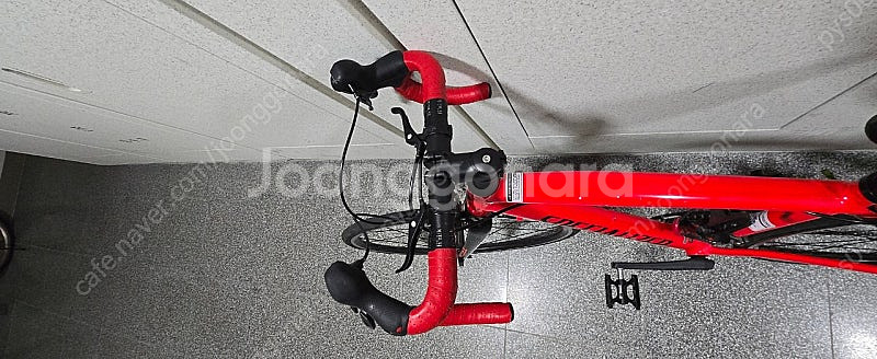 스페셜라이즈드 알레 주니어--2