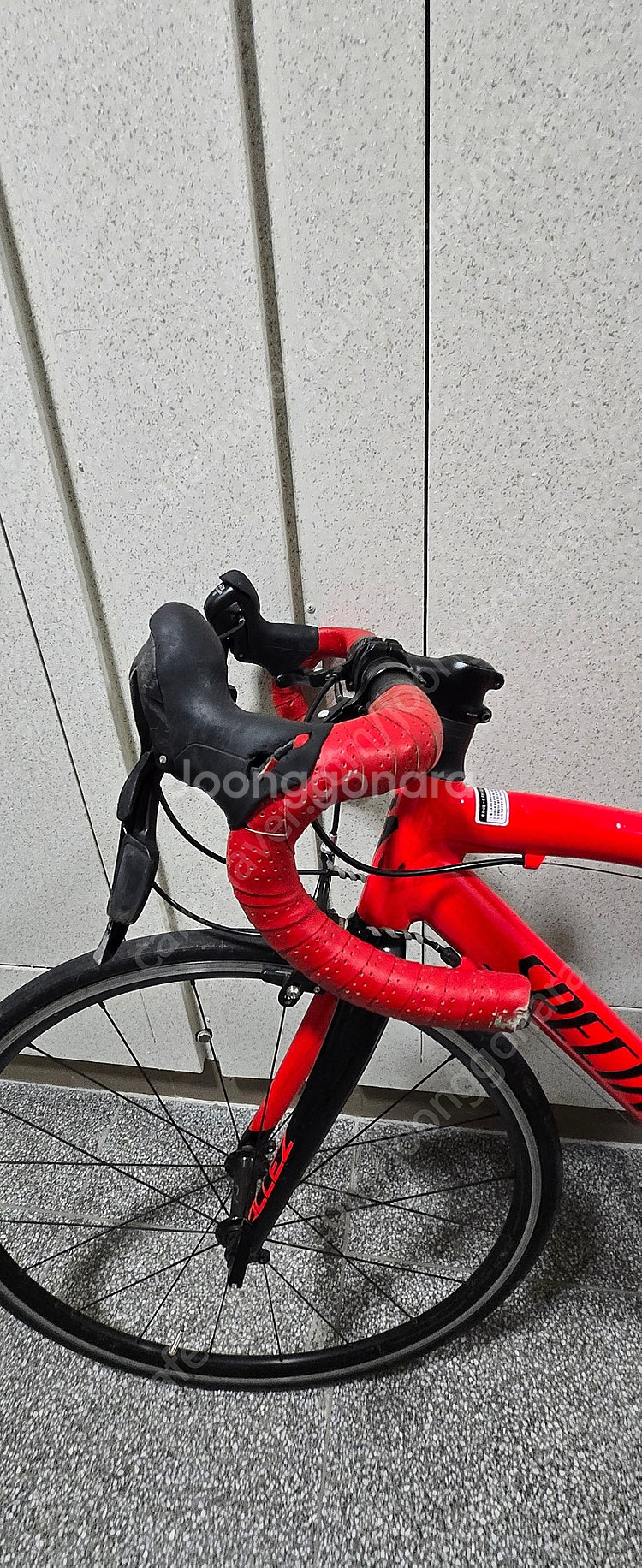 스페셜라이즈드 알레 주니어--3