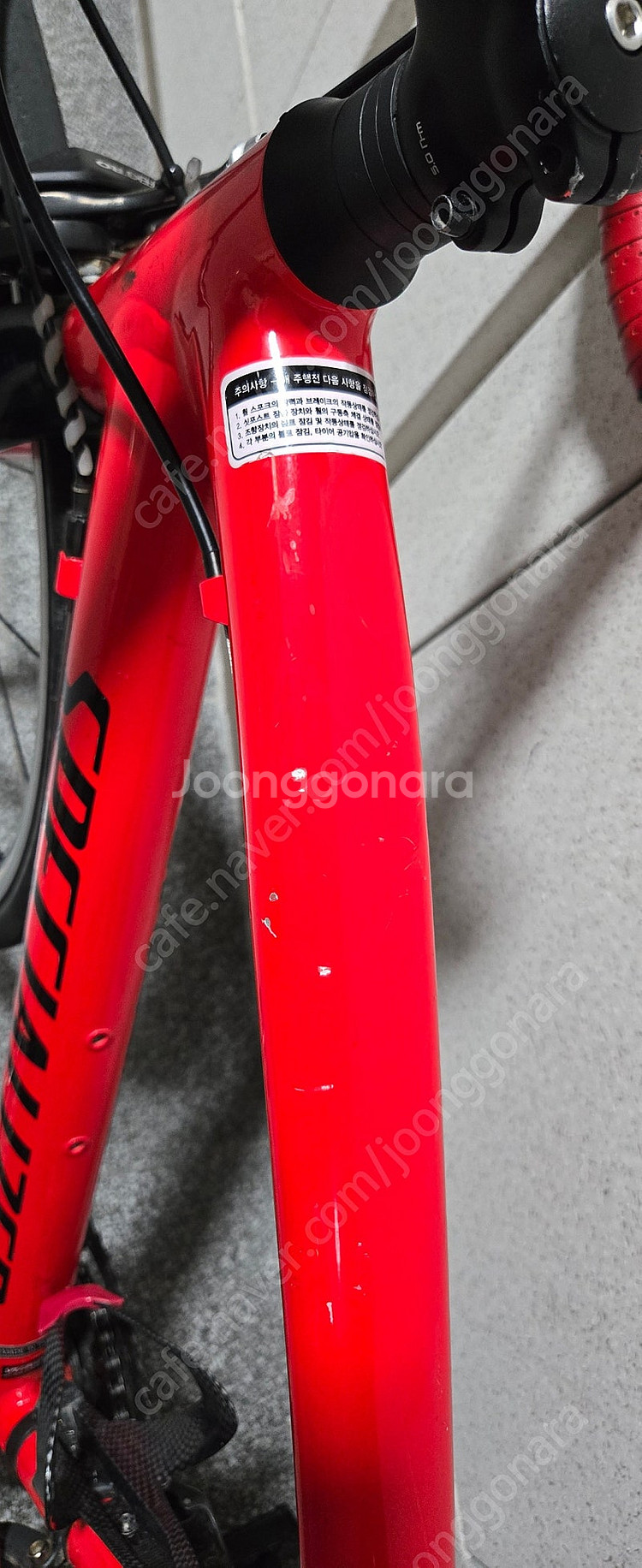 스페셜라이즈드 알레 주니어--4