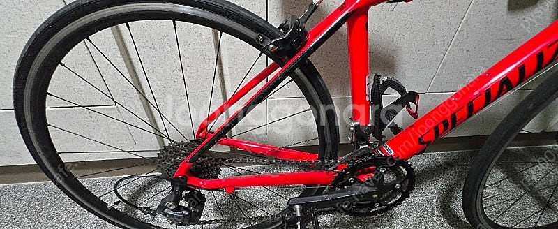 스페셜라이즈드 알레 주니어--6