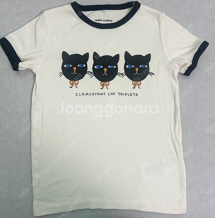 미니로디니 고양이 5-7y--0