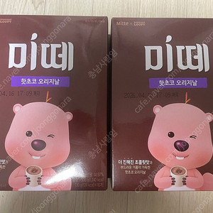 미떼 핫초코 오리지날 10개입 1박스