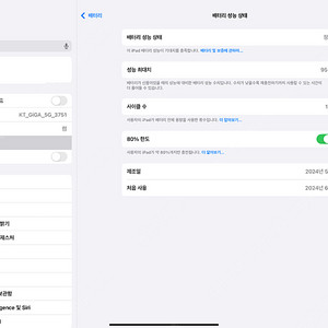 아이패드 M4 13인치 256 GB Wifi 실버 팝니다.