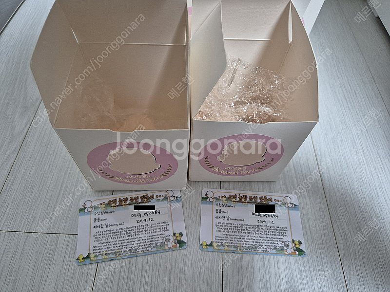 오덕팜 미니주 / 미니 농장주 헤드 판매합니다.--1