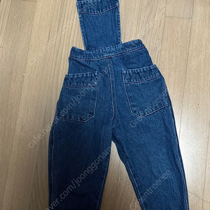 수어플룸 청찰리 3y