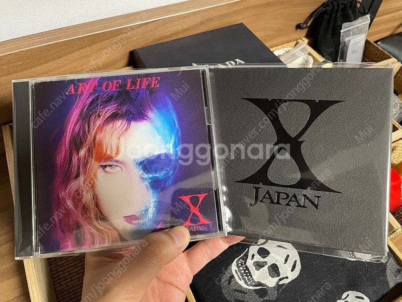 [X JAPAN] 엑스재팬 ART OF LIFE (초회...--1