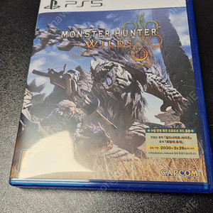 PS5 몬스터헌터 와일즈