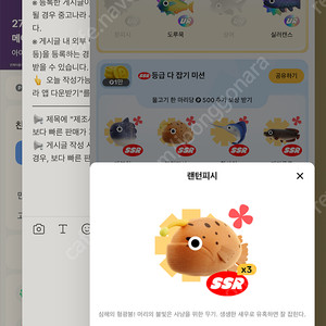 틱톡 랜턴피시 팔아여