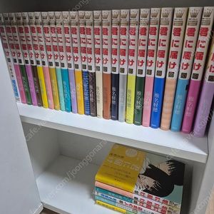 너에게닿기를 )1~30권,(29X),외전1, 팬북, 가이드북 원서