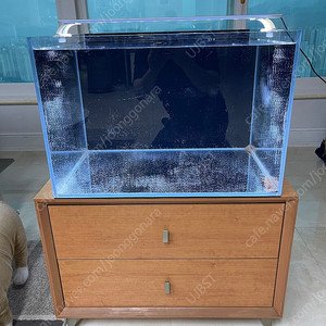 (경기 북부) 호야 올디아망 수조 60x50x40 8T 프리미엄 어항 서랍형 받침대 세트 상태 S급 판매 (개별 가능)