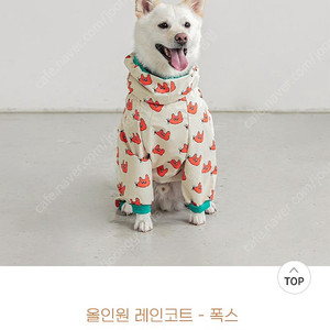 (새상품) 바잇미 강아지 우비 팝니다