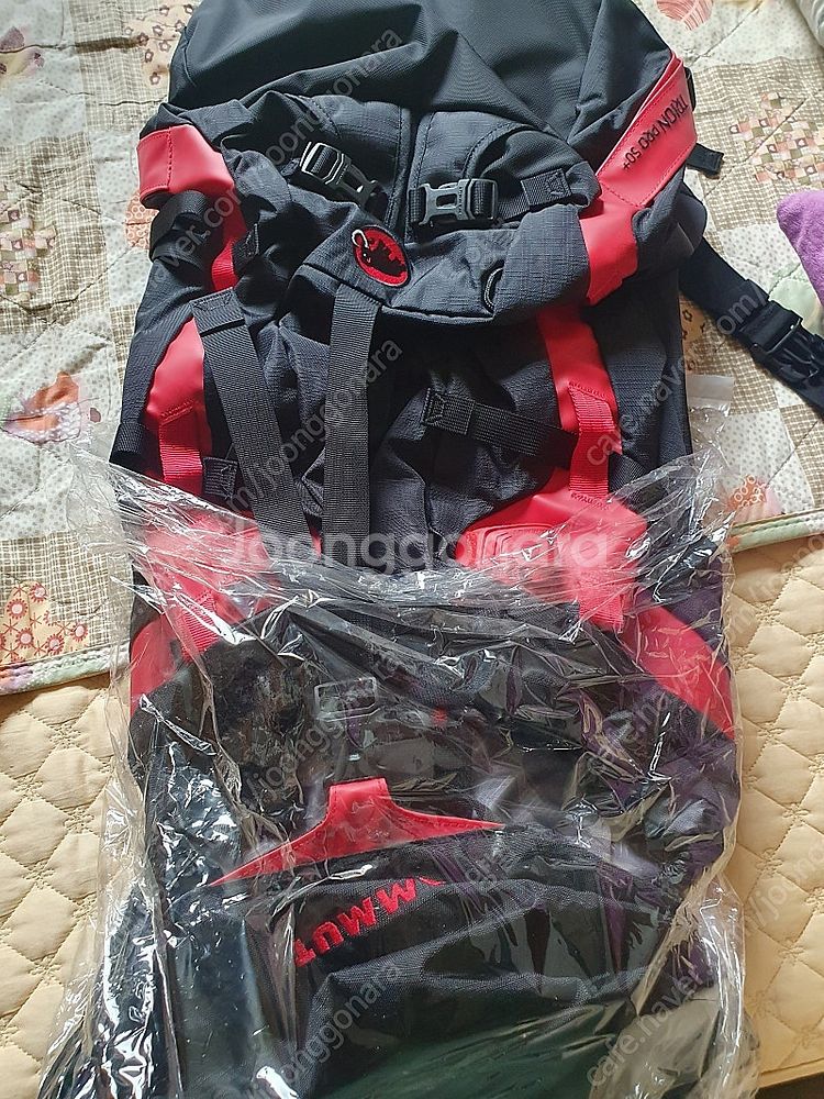 마무트 50+팝니다--1