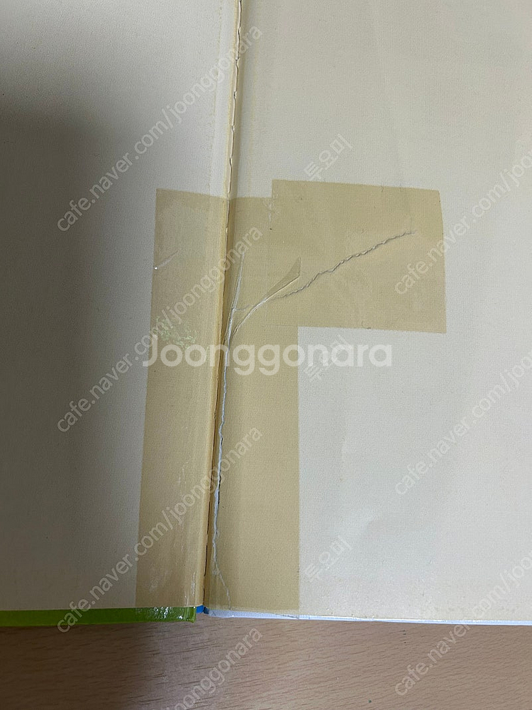 드림차일드애플 택포--3