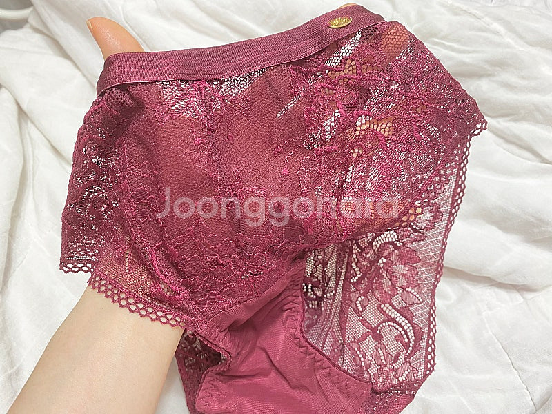 메종르자비 여성 속옷/에블린/섹시 레이스 망사--8