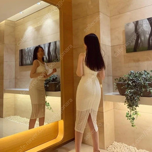베르비 셀프포트 레이스 자수 미니 원피스
