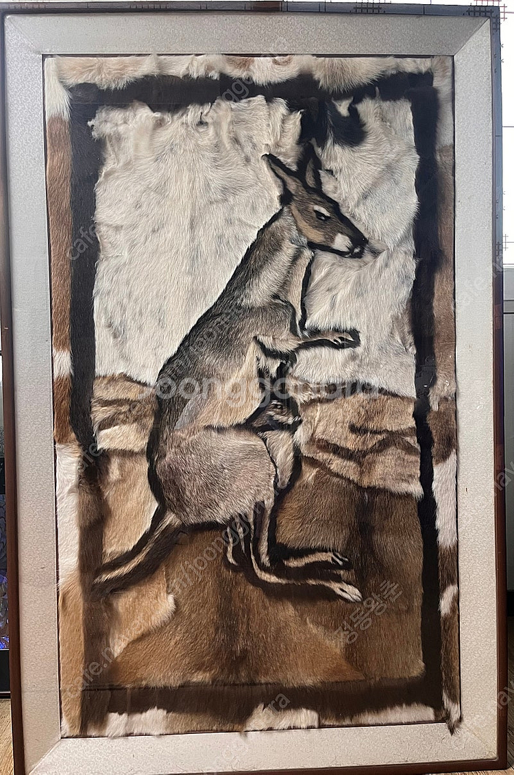 [호주 직수입] 캥거루 아트 대형 액자--0