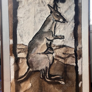 [호주 직수입] 캥거루 아트 대형 액자