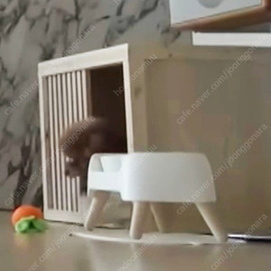 원목 강아지집 팝니다(나혼자산다 나온 그 집)