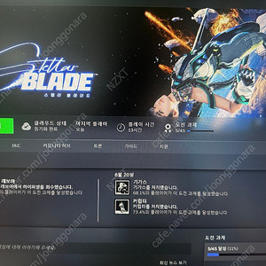 스텔라블레이드 니케 쿠폰
