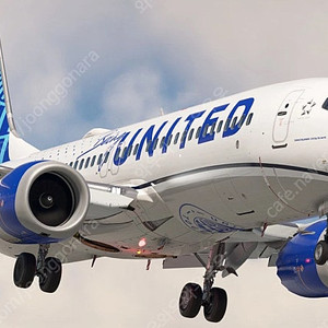 MSFS 2020/2024 Ifly 737 MAX