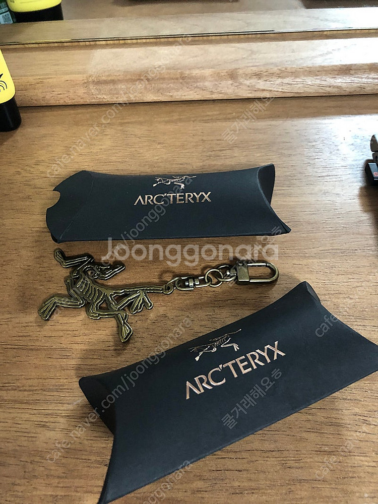아크테릭스 키링--0