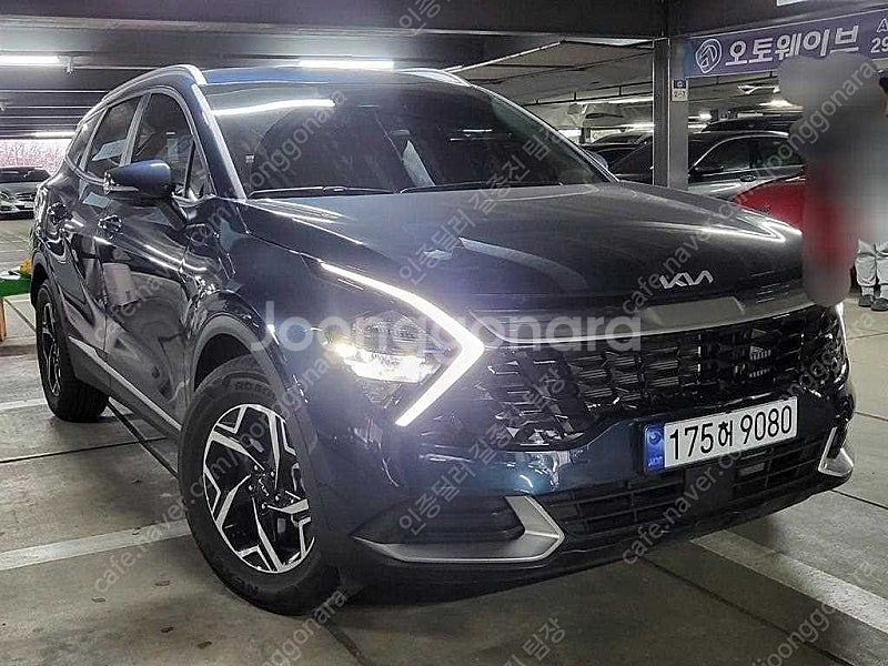 디올뉴 스포티지 중고차 할부 스포티지 SUV 중고차 파...--3