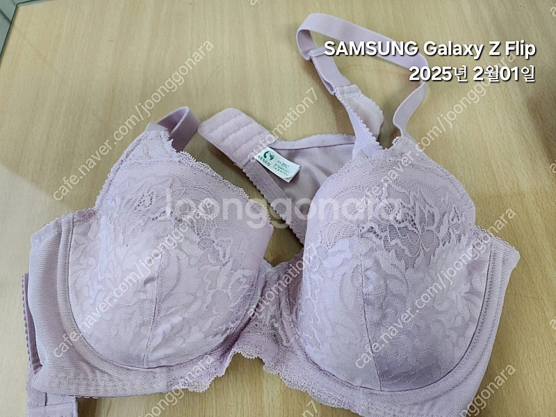 비너스 브라 85C--0