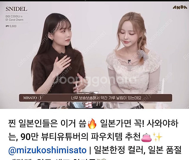 스나이델 뷰티 아이디자이너 N01코랄참--7