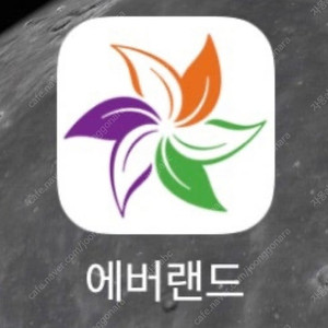 에버랜드 종일권