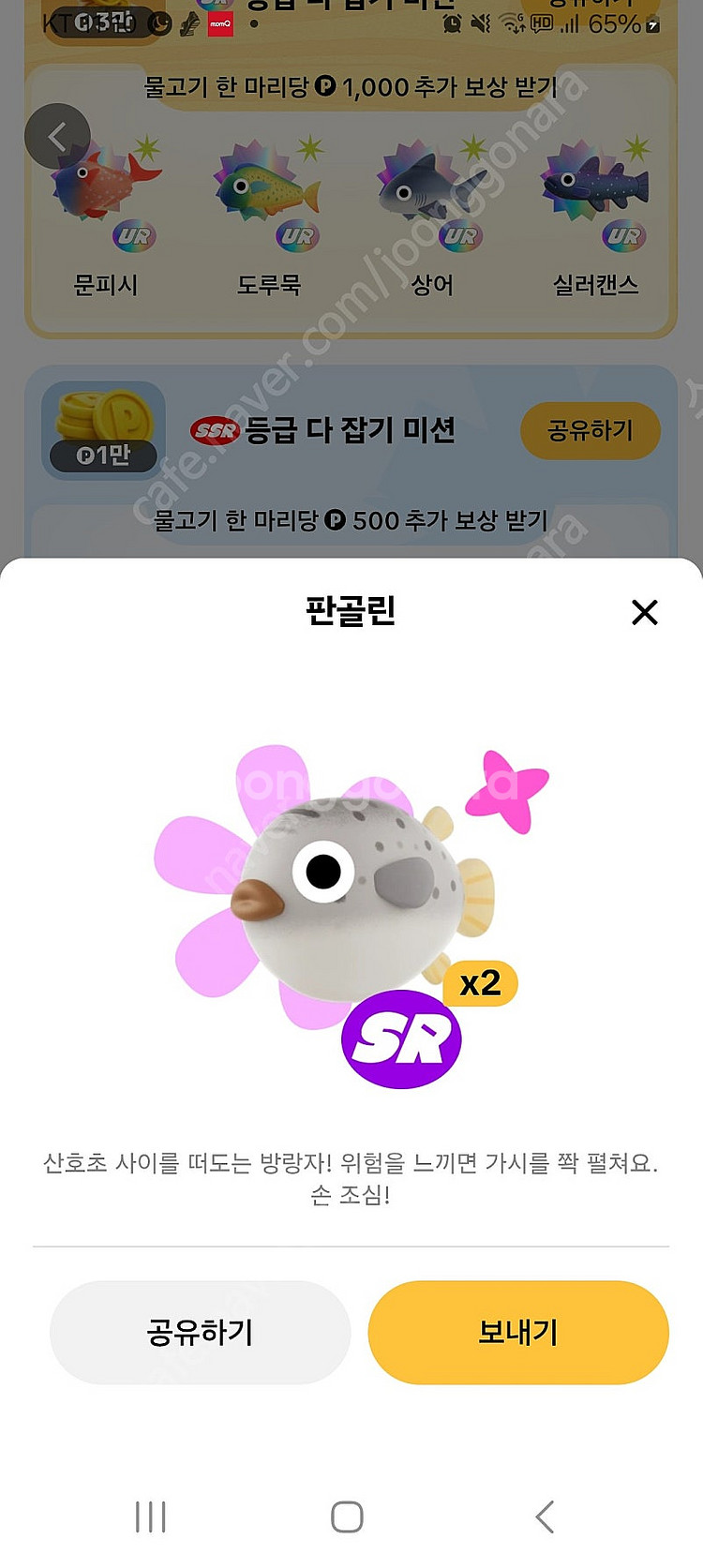 틱톡라이트 판골린 참다랑어--0