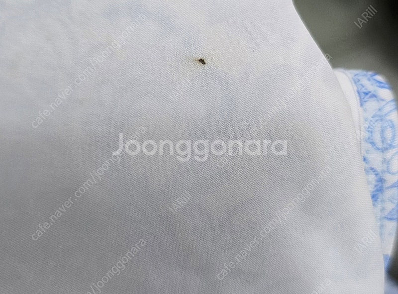 센티 리비에라 원피스수영복 M사이즈--1