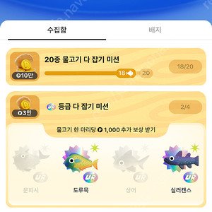 틱톡 문피시,상어