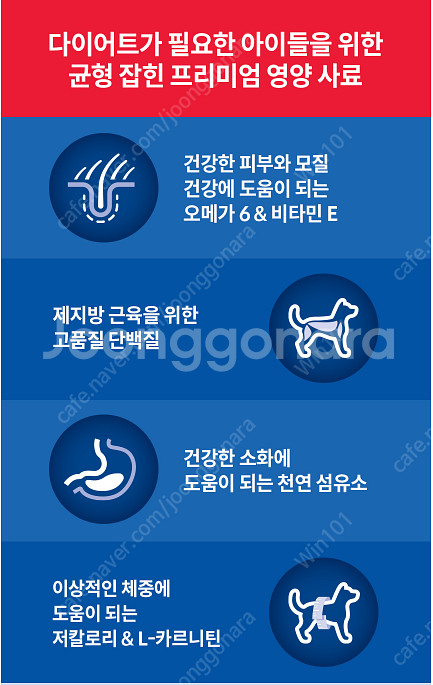 힐스 강아지 사료 어덜트 라이트 스몰바이트 2kg 2포...--1