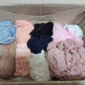 레이스,모티브