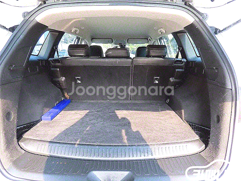 [르노코리아(삼성)]더뉴QM6 2.0 LPe LE 2W...--8