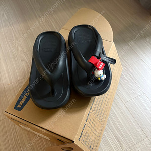 토앤토 제로비티 키티