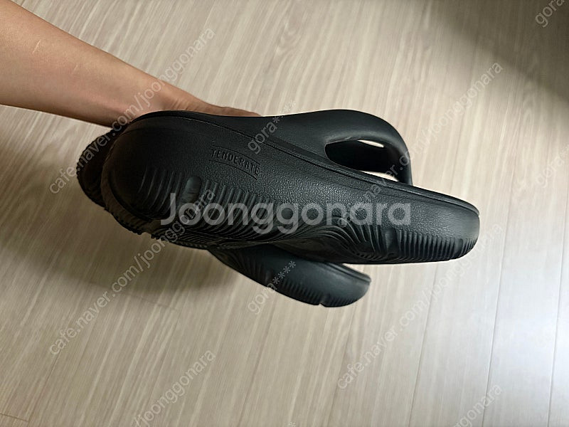 토앤토 제로비티 키티--5