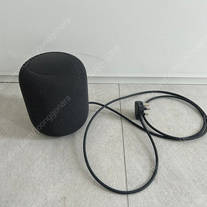 Apple HomePod 1세대 애플 홈팟 블루투스 스피커 30만원