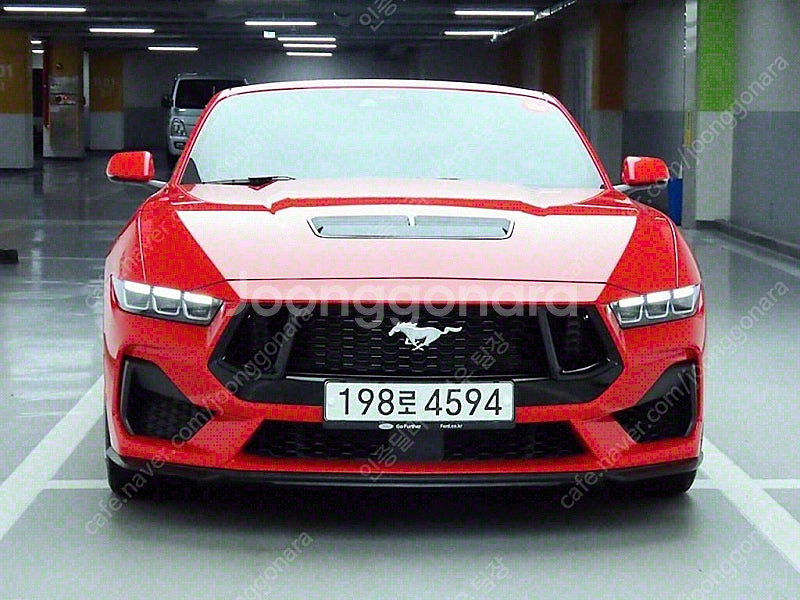 빨간색 포드 머스탱 중고 포드 중고차 5.0 GT 프리...--0