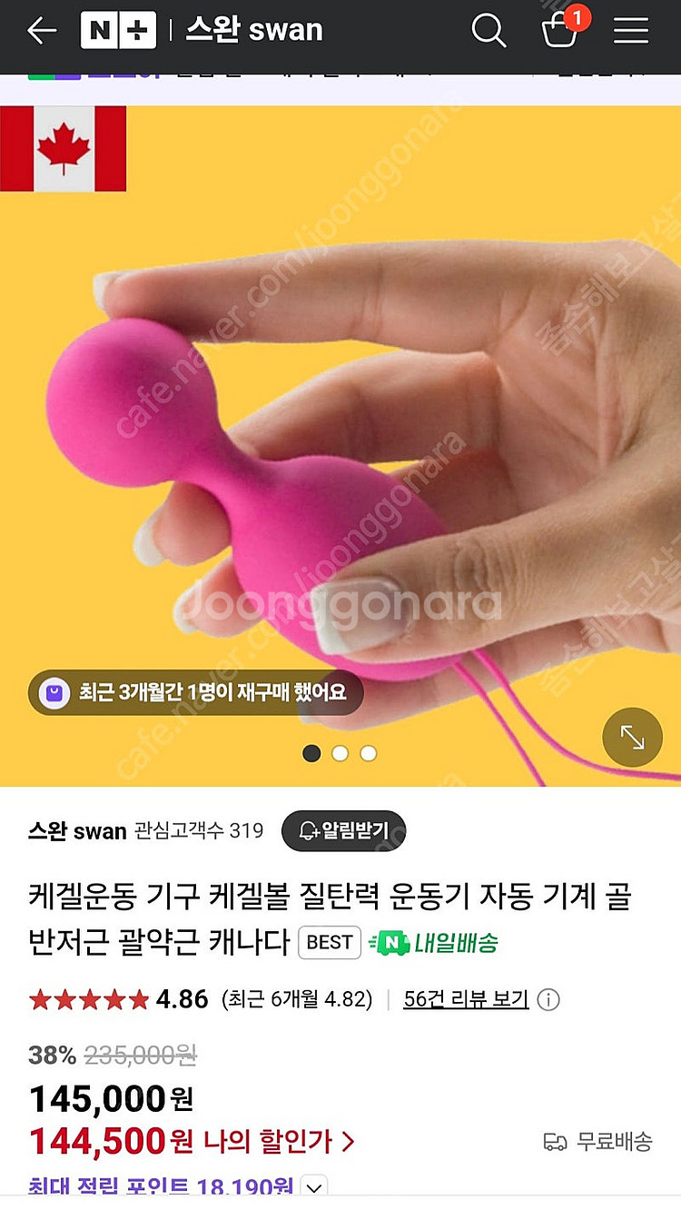 케겔운동기구 스완 케겔볼--0