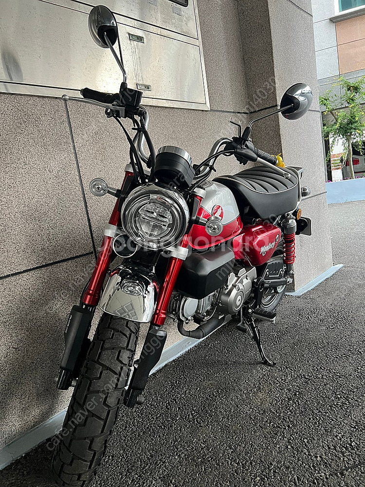 혼다 몽키 23년식 125cc 주행 653km 팝니다--2