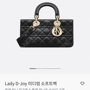 디올 레이디 디조이(Lady D-Joy) 미디엄 백