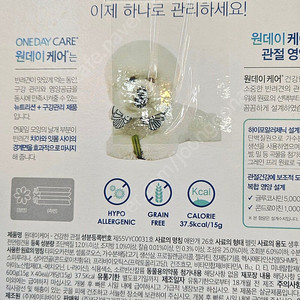 원데이케어 강아지 덴탈껌 600g 38봉지 판매합니다