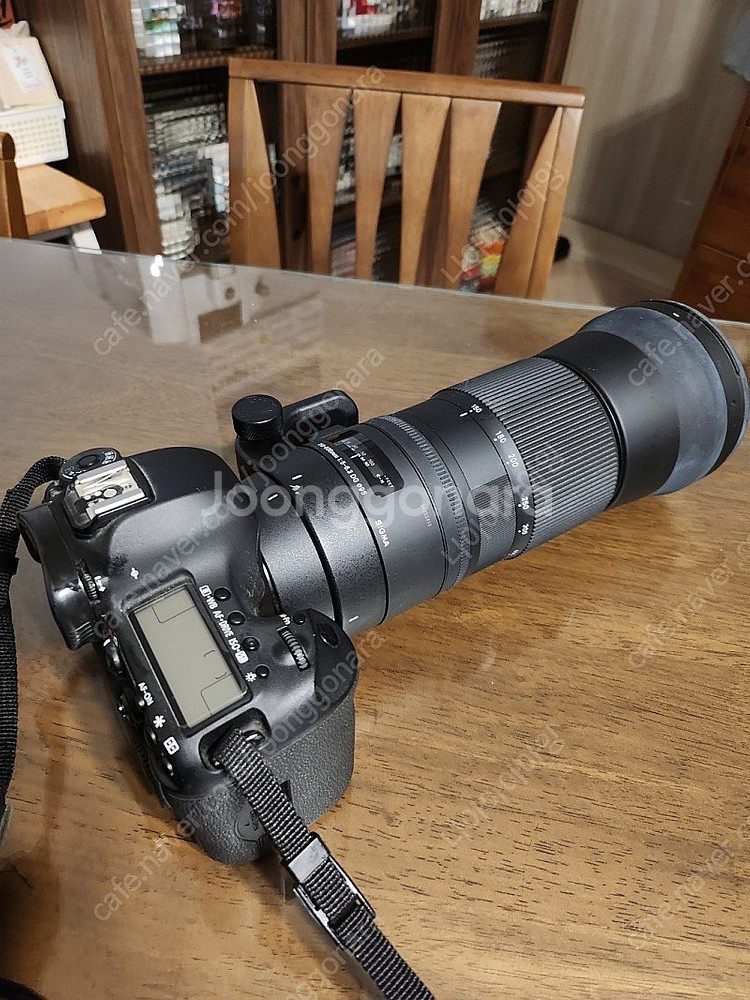 캐논5d 마크3/ 시그마 150-600DG--0