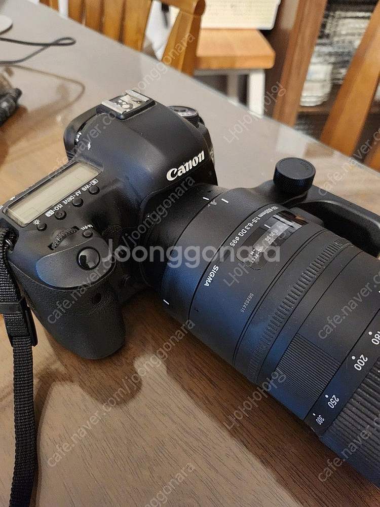 캐논5d 마크3/ 시그마 150-600DG--1