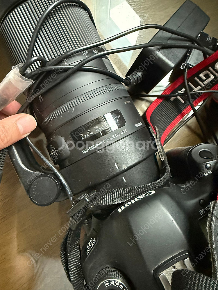 캐논5d 마크3/ 시그마 150-600DG--2