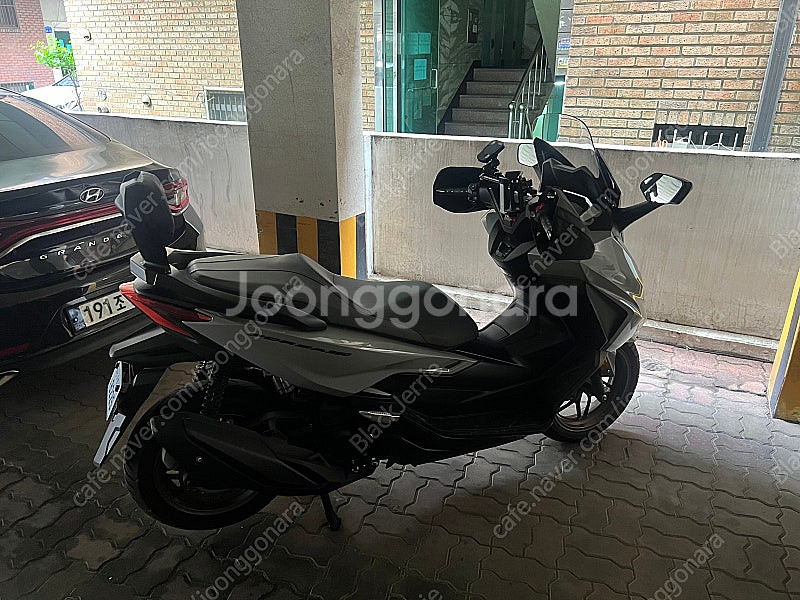 25년식 포르자 350--2